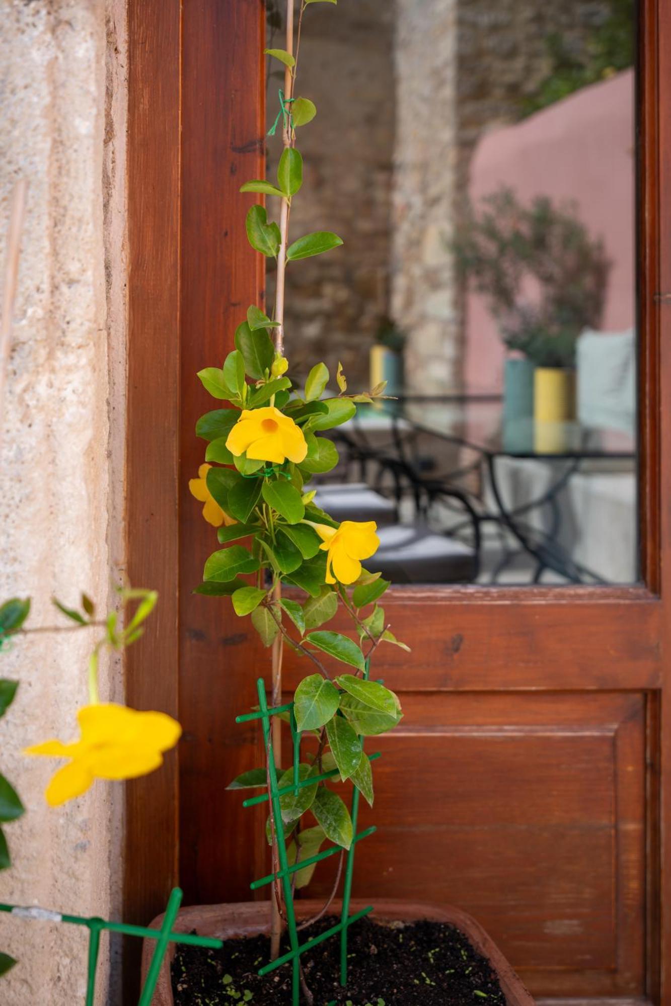 Phaedra Suites (Adults Only) Rethymnon Exterior foto
